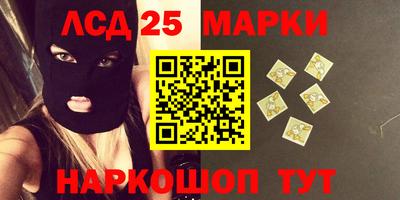 крисы Новокубанск