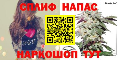 каннабис Новодвинск