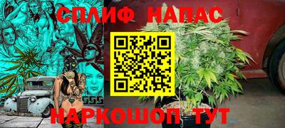 крисы Новокубанск